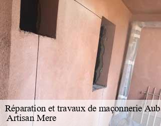 Réparation et travaux de maçonnerie  aubagne-13400  Artisan Mere