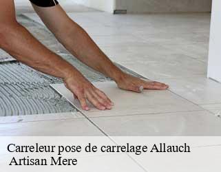 Carreleur pose de carrelage  allauch-13190  Artisan Mere