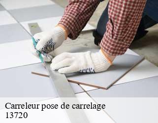 Carreleur pose de carrelage  13720