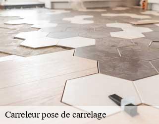 Carreleur pose de carrelage