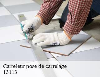 Carreleur pose de carrelage  13113