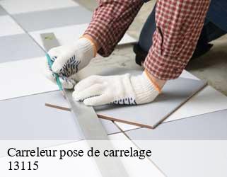 Carreleur pose de carrelage  13115