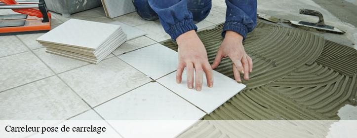 Carreleur pose de carrelage 13530