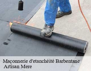 Maçonnerie d'etanchéité  barbentane-13570  Artisan Mere