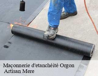 Maçonnerie d'etanchéité  orgon-13660  Artisan Mere